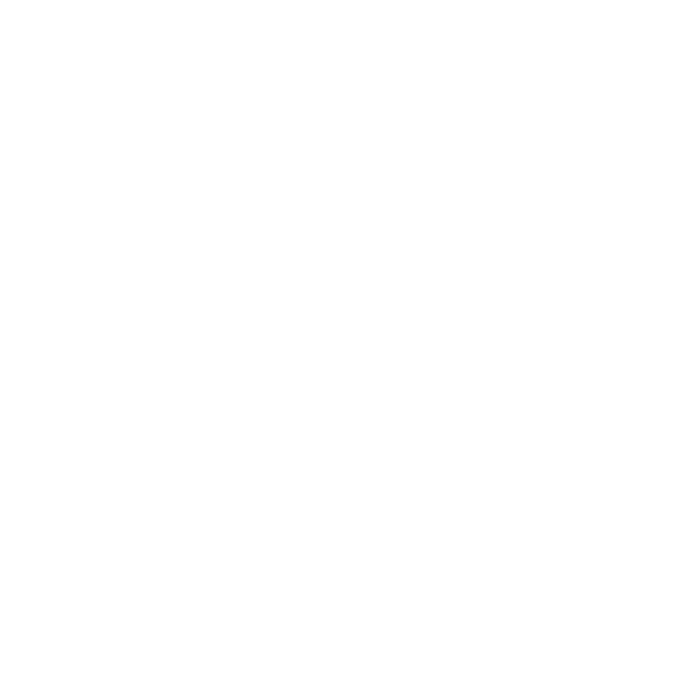 Neo Roleplay Logo